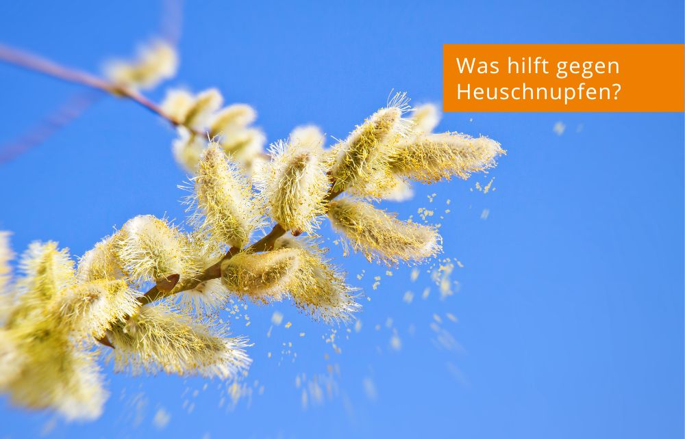 Featured image for “Was hilft gegen Heuschnupfen?”