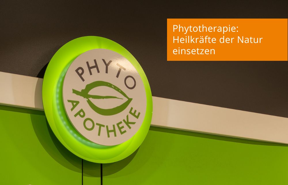 Featured image for “Phytotherapie: Heilkräfte der Natur einsetzen”