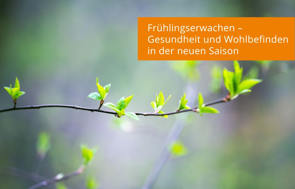 Featured image for “Frühlingserwachen – Gesundheit und Wohlbefinden in der neuen Saison”